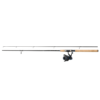 Abu Garcia Devil Coast & Salmon 902H 40-80g combo