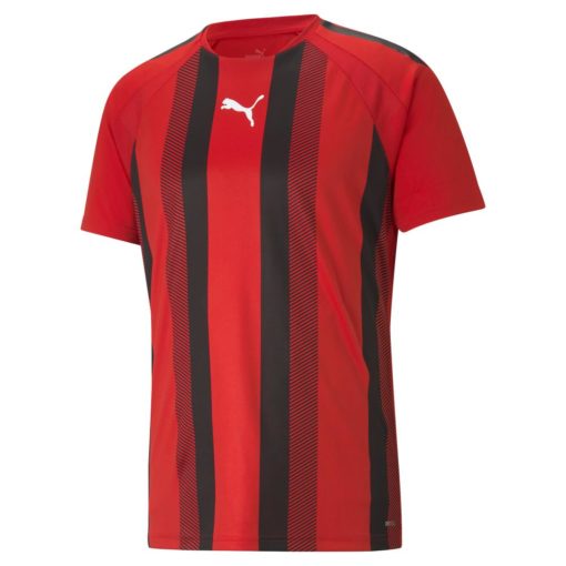 Puma  Teamliga Striped Jersey