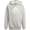 Adidas  U Bl 2 Hoodie