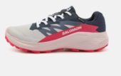 Salomon  Alphaglide Gtx W