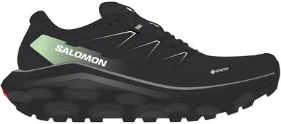 Salomon  Ultra Flow 2 Gtx