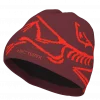 ArcTeryx Bird Head Toque