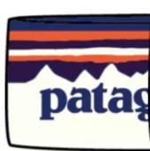 Patagonia  Powder Town Headband