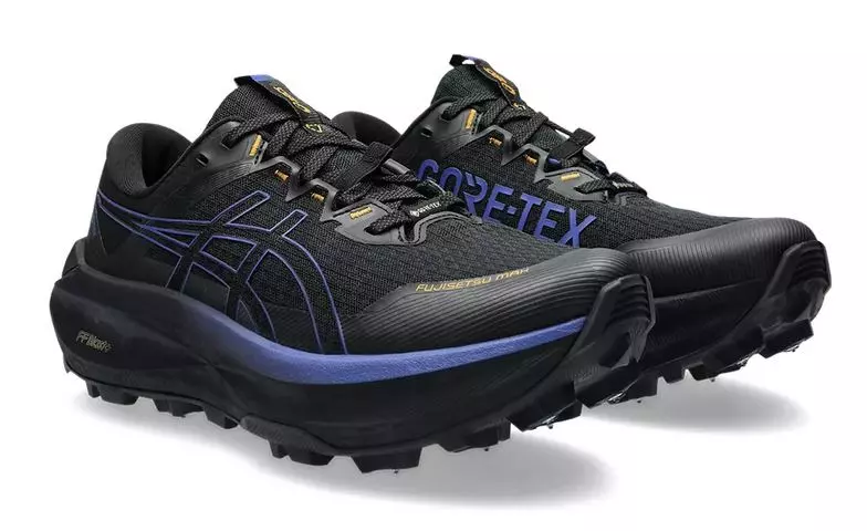 Asics  FUJISETSU MAX GTX