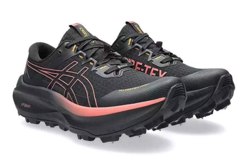 Asics  FUJISETSU MAX GTX