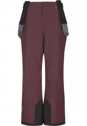 Whistler Drizzle Jr Ski Pant W-Pro 10000