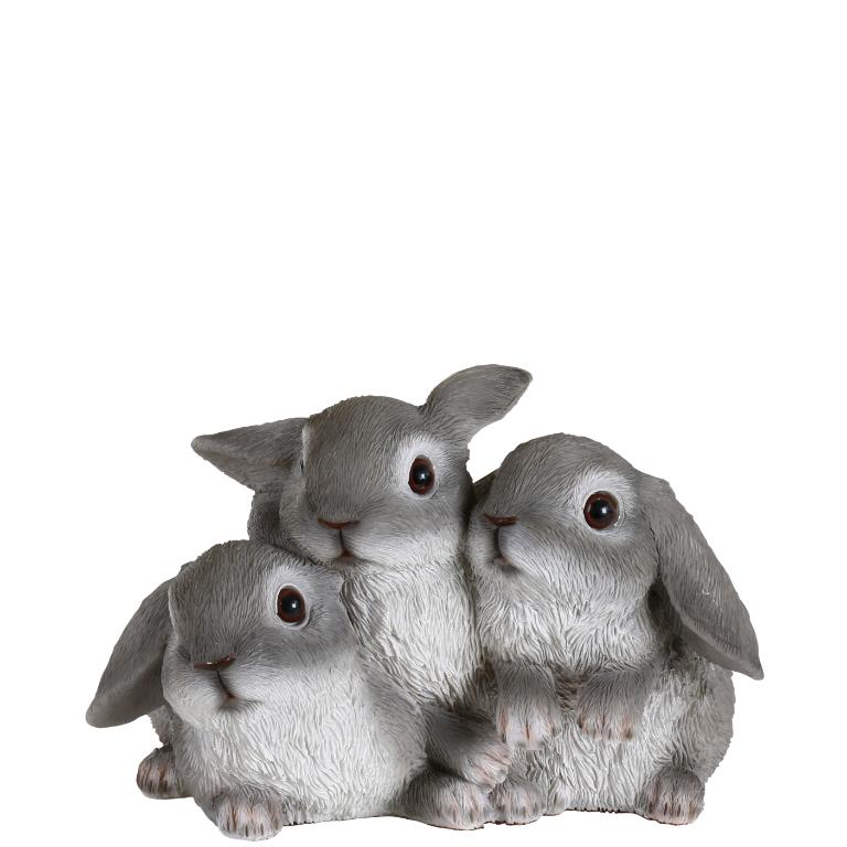Kaninfamilie