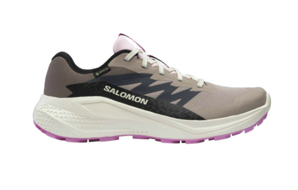 Salomon  Alphaglide Gtx W