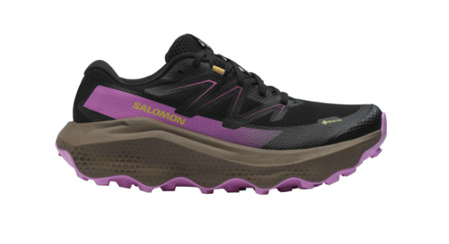 Salomon  Ultra Flow 2 Gtx W