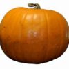 Pumpkin 5kg