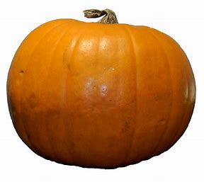 Pumpkin 5kg