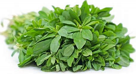 Fresh Methi Kasse 3kg