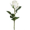 Rose Hvit 9603-10