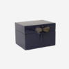 Box Dragonfly Big Dark Blue LA3404
