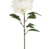 Hydrangea Single 87853