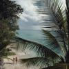Getty. Barbados Beach By Slim Aarons 51x76cm