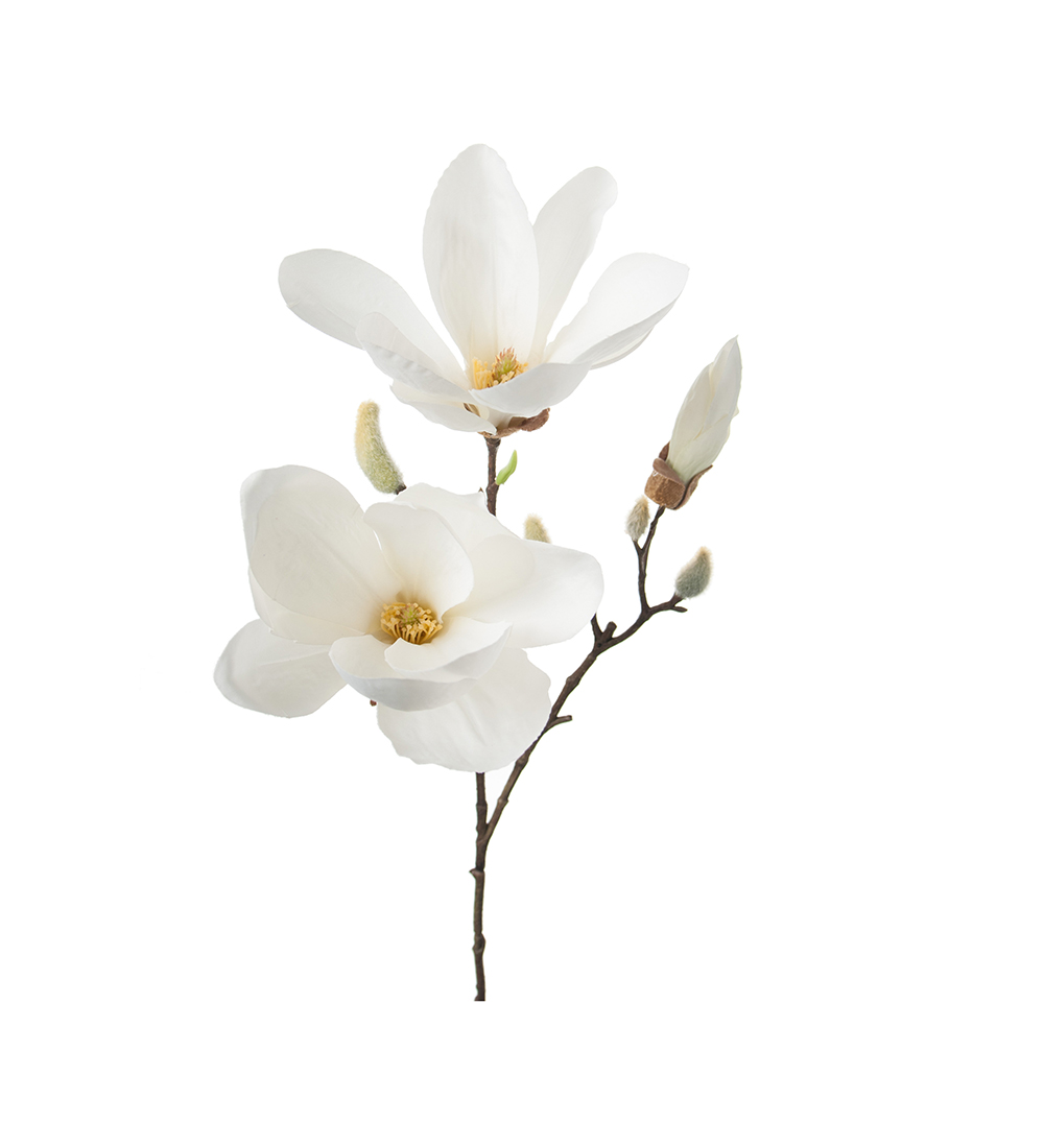 Magnolia 1109-10