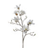 Magnolia 9666-10