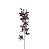 Oncidium Orchid 2211-85