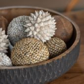 Ball Shell Natural S 8x8cm  20995