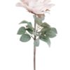 Rose Light Pink 66h 22415