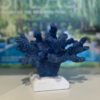 Blue Coral With Base 3261143