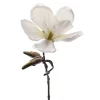 Magnolia 6172-10