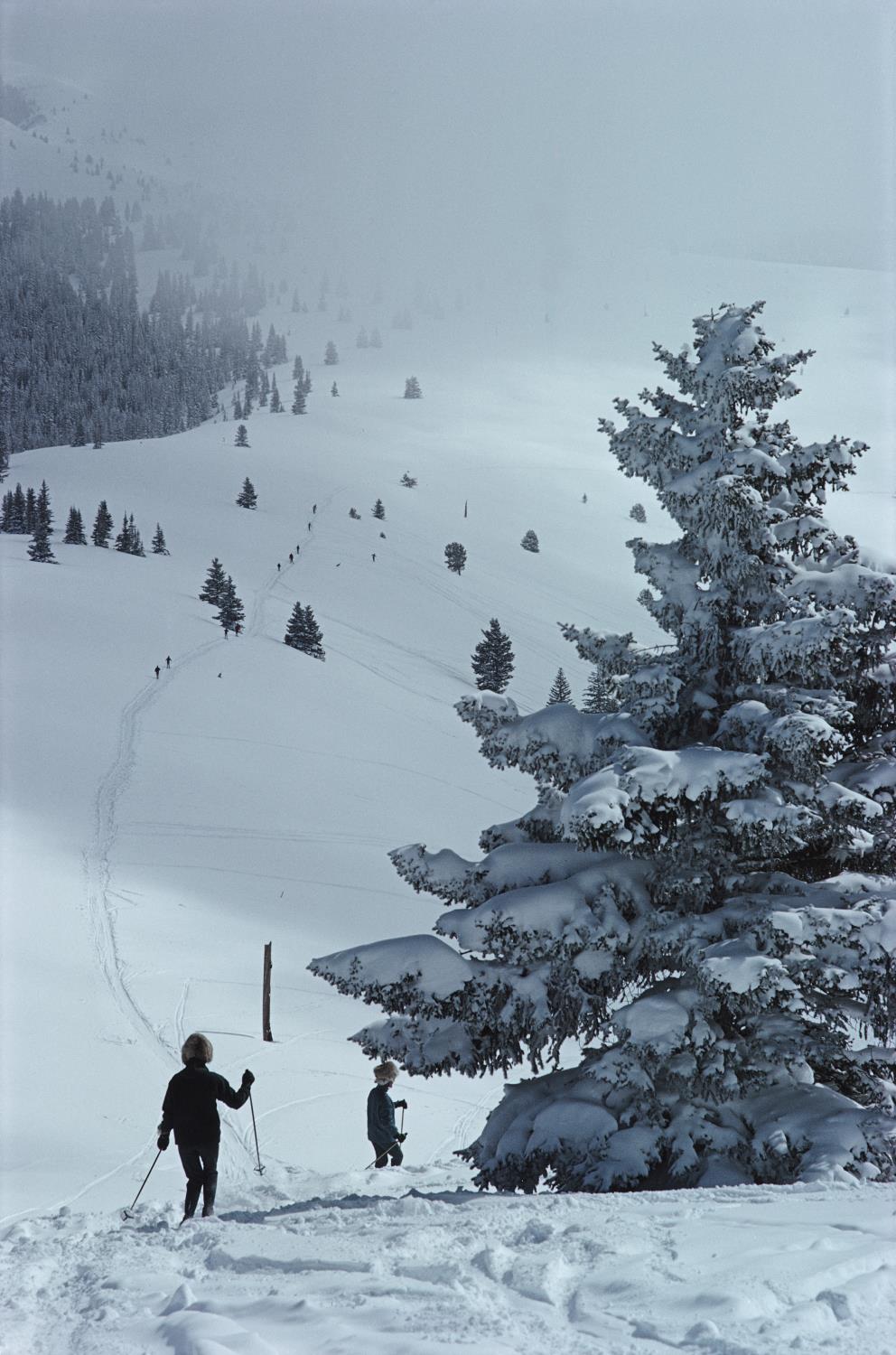 Getty. Skiing In Vail By Slim Aarons 50x75cm