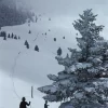 Getty. Skiing In Vail By Slim Aarons 50x75cm