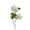 Magnolia 3668-10
