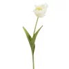 Tulipan 9234-10