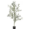 Oliven 7024-120