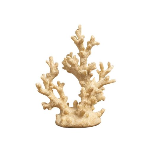 White Coral 32690