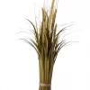 Grass Bundle / Tail 9xh62cm 97280