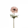 Anemone 3534-21