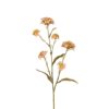 Blomster Iberis 3235-71