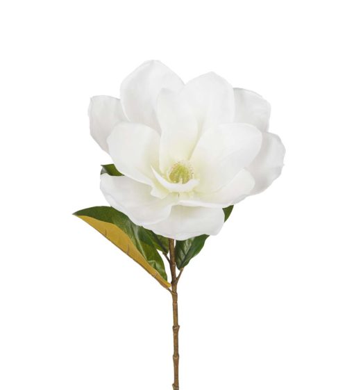 Magnolia 3670-10