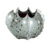 Grey Ceramic Pot Ribbed Spikey Border XL 716642