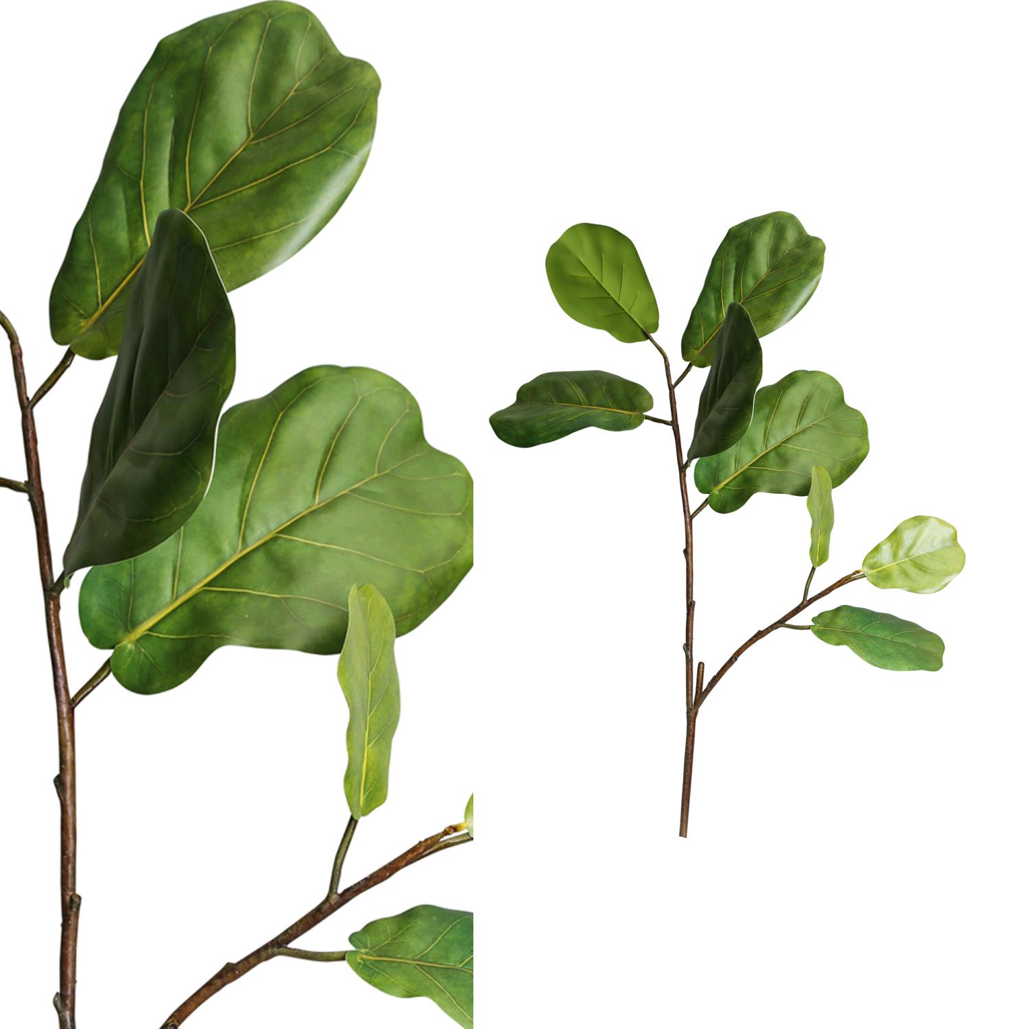 Leaves Plant Green Funaria Spray 694943