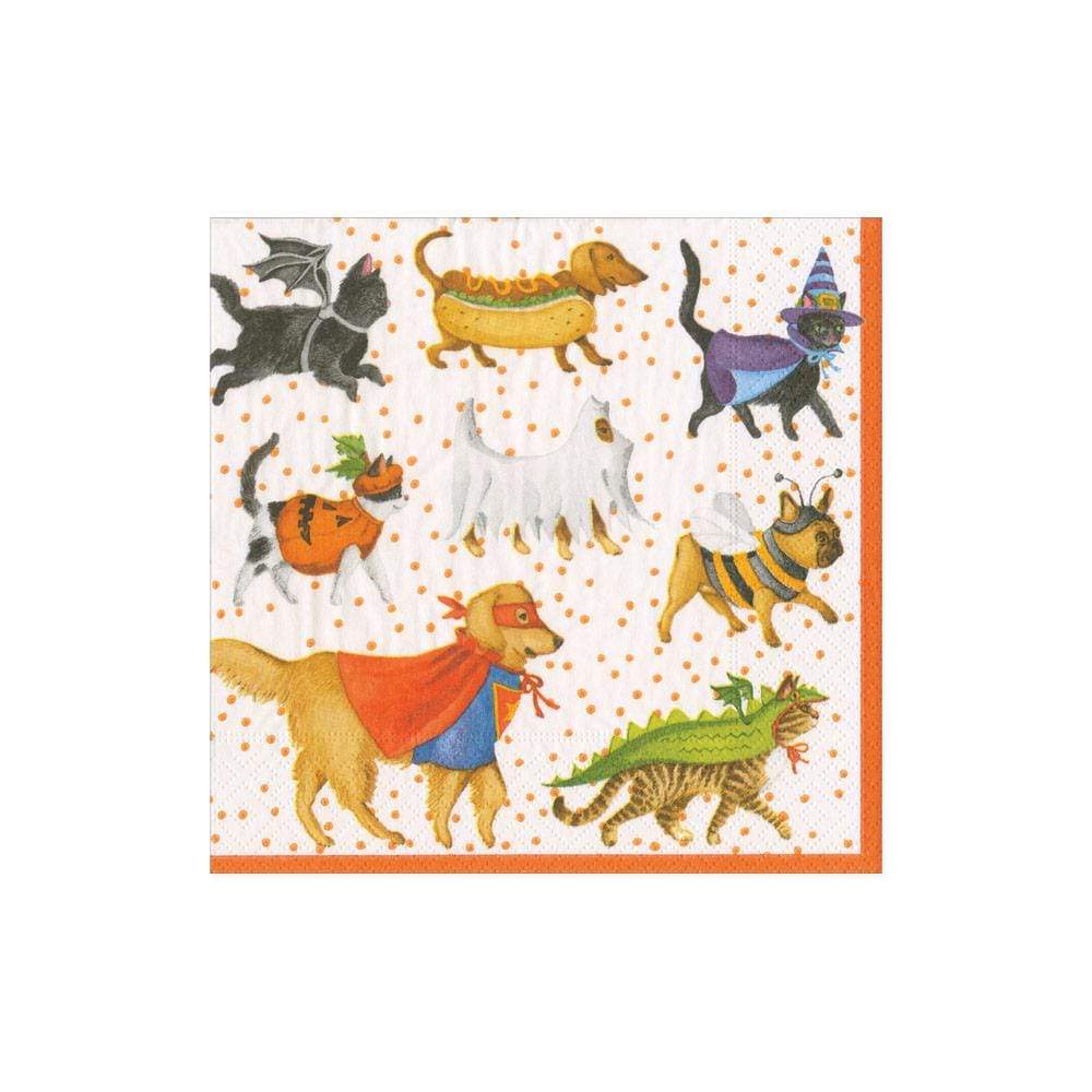 Napkin Pets in Costume 16560c