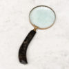 Magnifier With Natural Horn Handle 34040