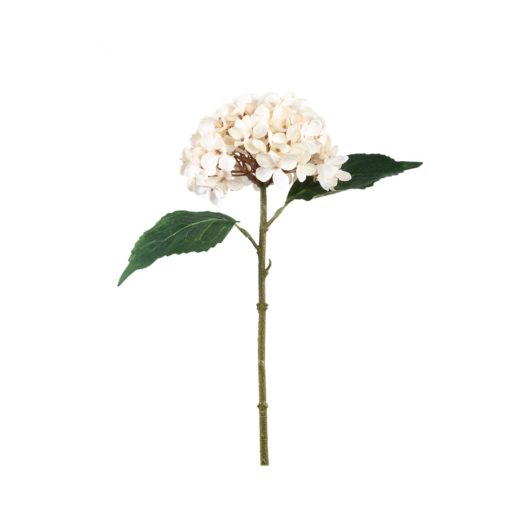Hydrangea Flower Beige 717931