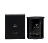 Duftlys Fig & Citrus 230g 5547