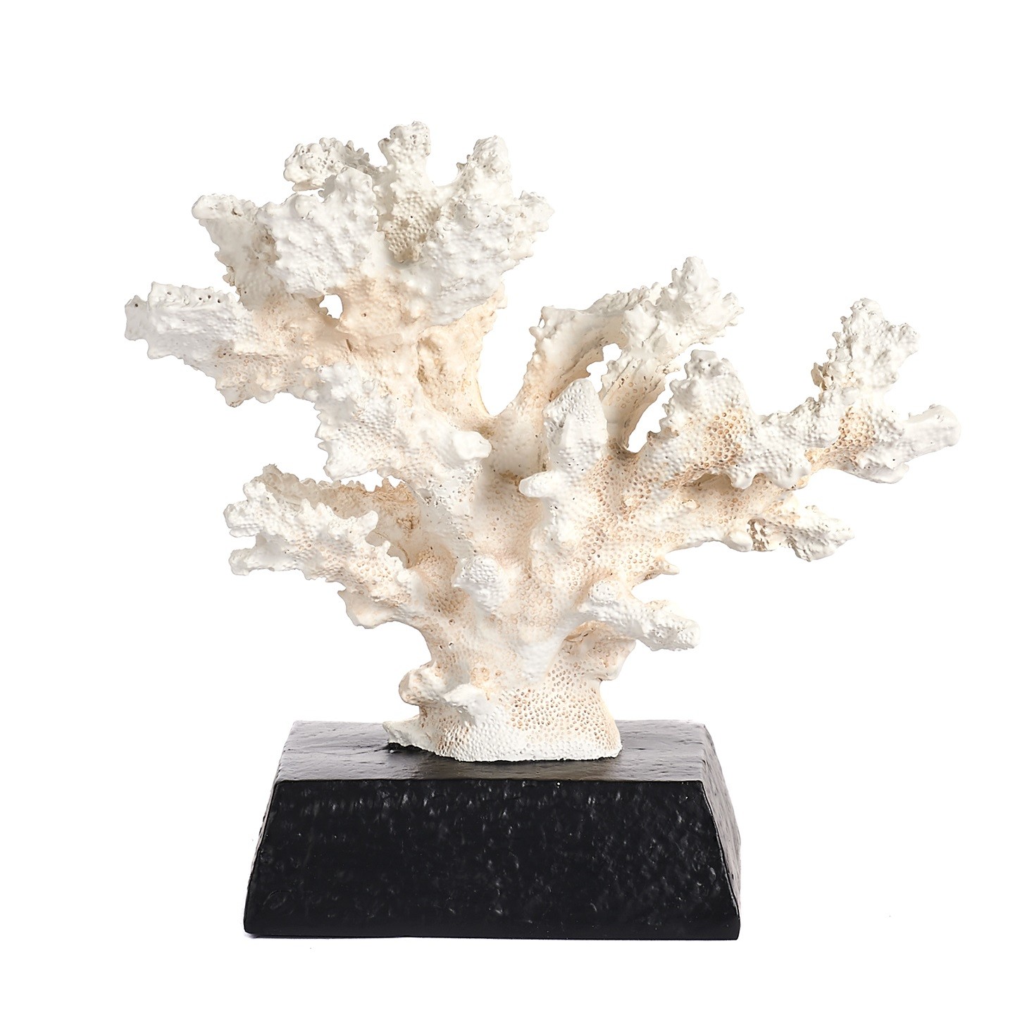 Coral On Stand 16,5cm Ex 10066
