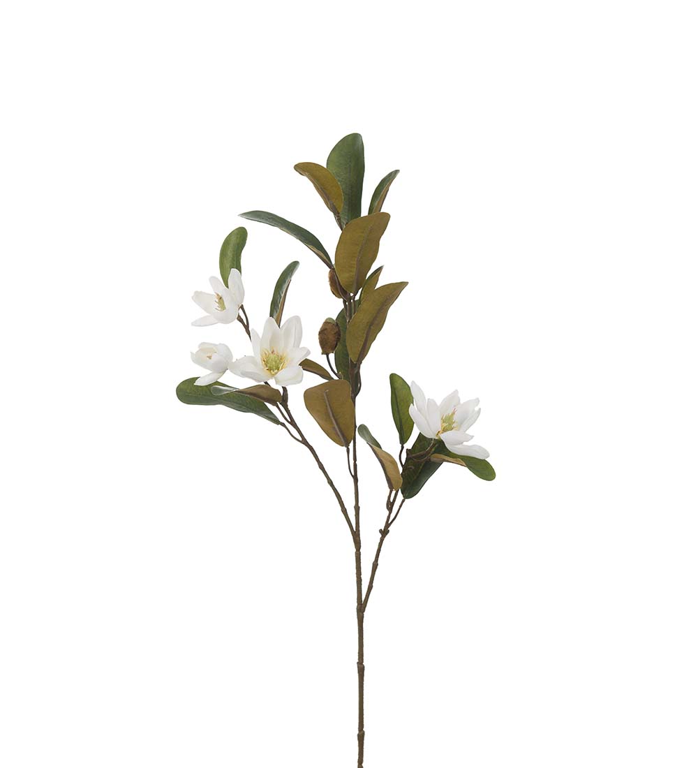 Magnolia 4065-10