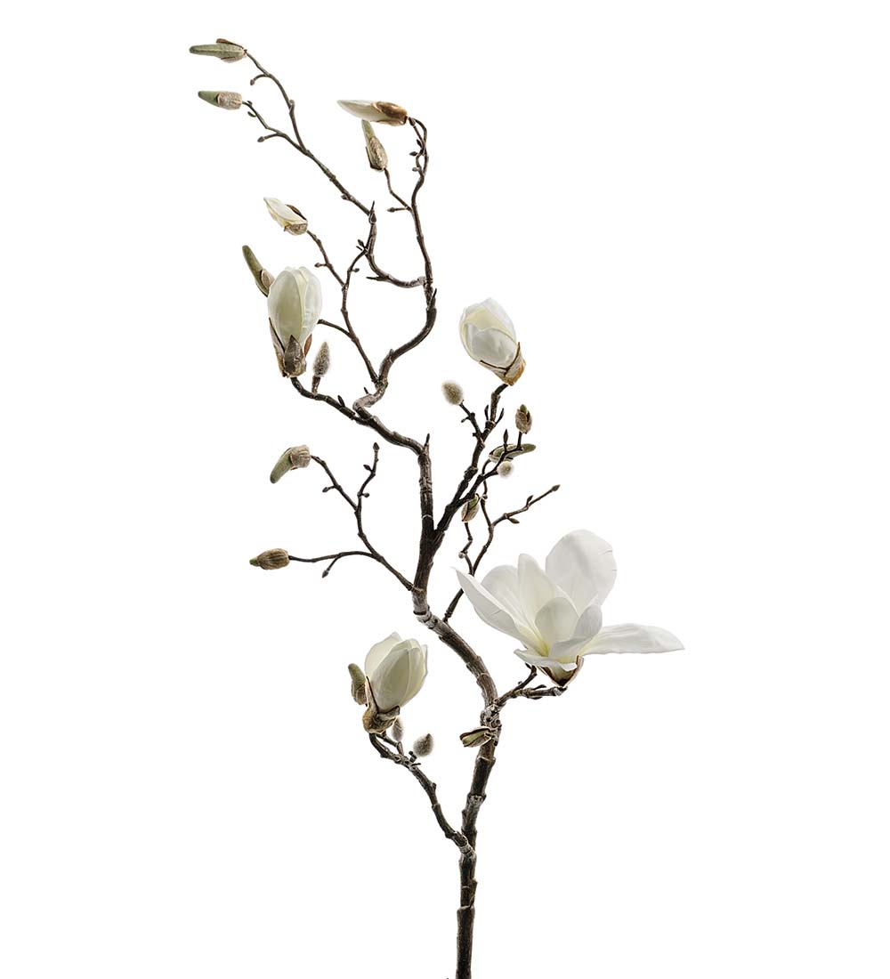 Magnolia 6175-10
