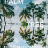 Palm Tree Destinations