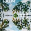 Palm Tree Destinations