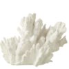 Coral White 29x20xh21cm 40488