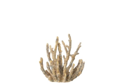 Coral Brown/Gold 15x9xh16cm 40498